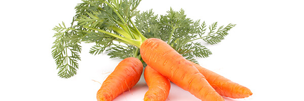 Le macérât huileux de Carotte